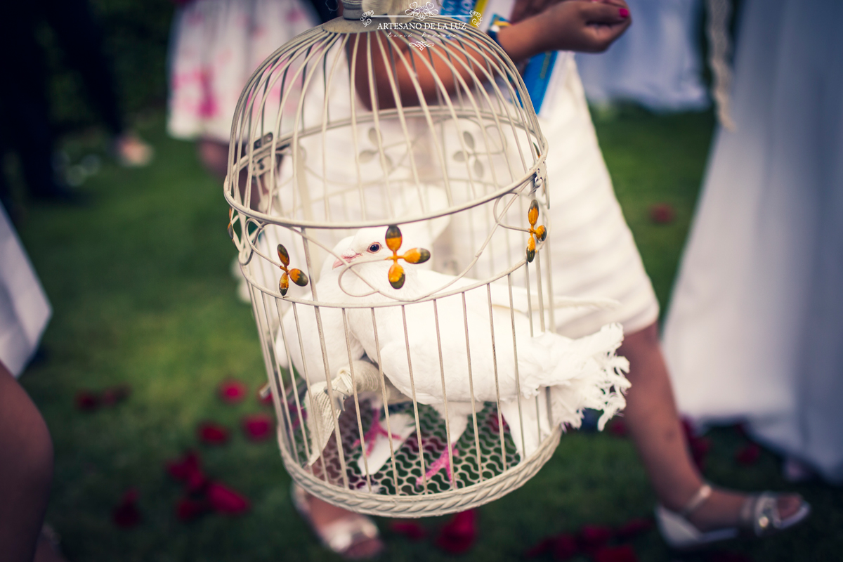 Boda en la Quinta del Alba